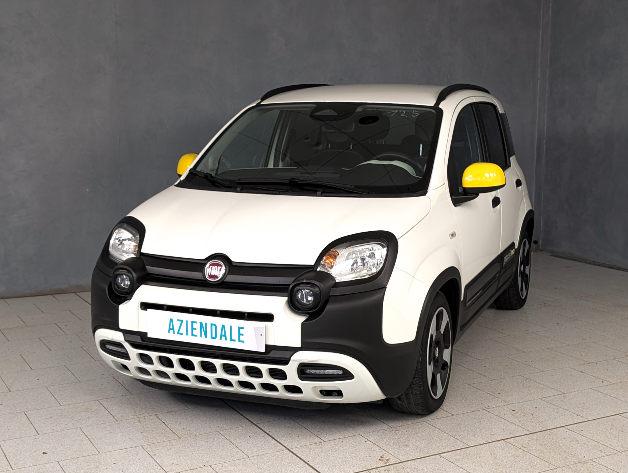 fiat-panda-1-0-hybrid-70cv-pandina-cross-23